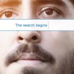 Lion Poster Lion Poster